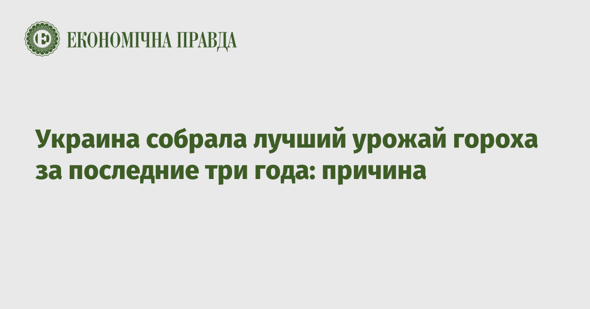 Украина собрала лучший урожай гороха за последние три года: причина