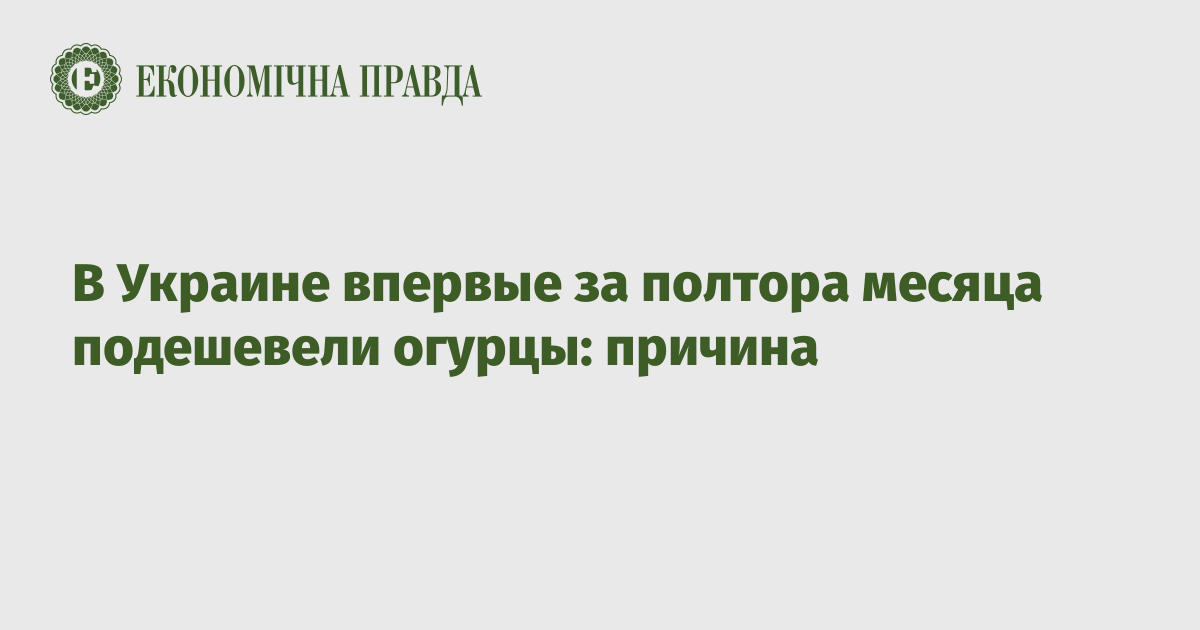 В Украине впервые за полтора месяца подешевели огурцы: причина